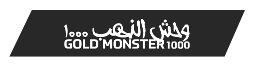 Samsun Minelab Gold Monster 1000 - Gold Monster 1000 küçük altın dedektörü